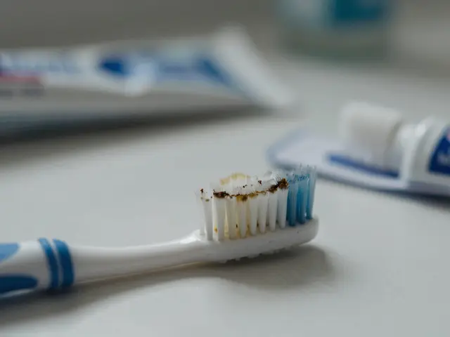 Jak často byste měli měnit mezizubní kartáčky: pravidla, která zaručí zdravé zuby